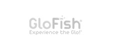 glo-fish-logo